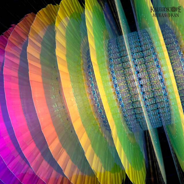 Torus Revolution 2.0
