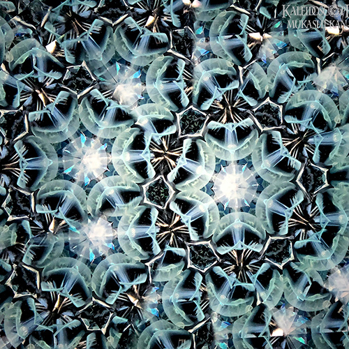 雪月花