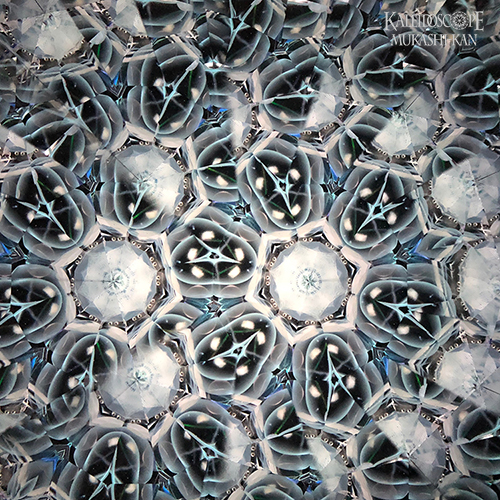 雪月花