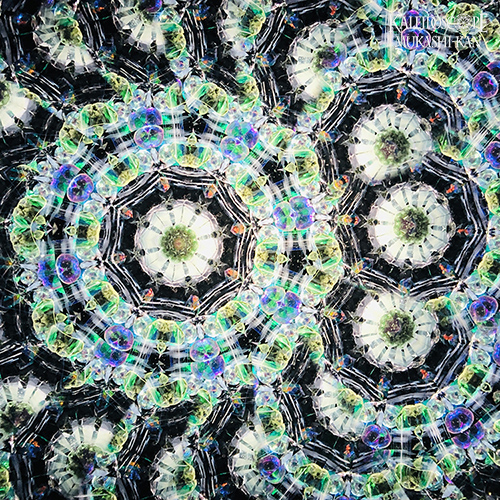 虹の生まれし処