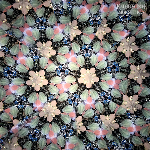 初桜