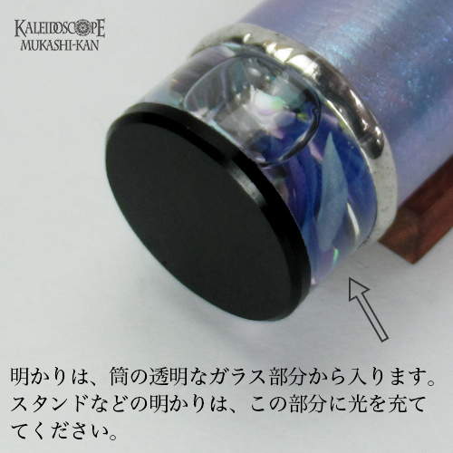 水無月の紫陽花