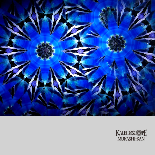 水無月の紫陽花