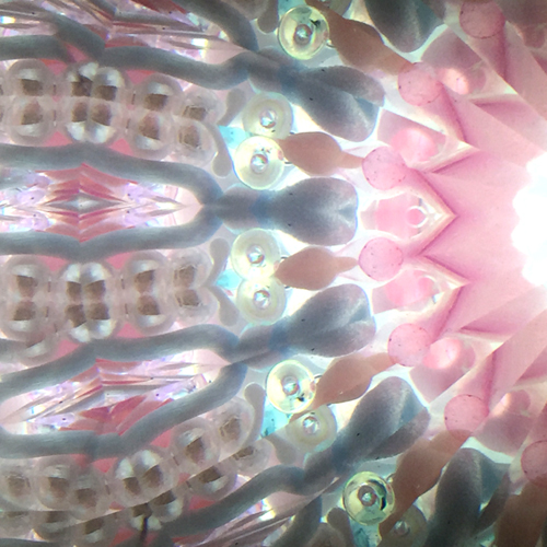 サクラのマカロン万華鏡