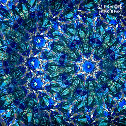 海の花