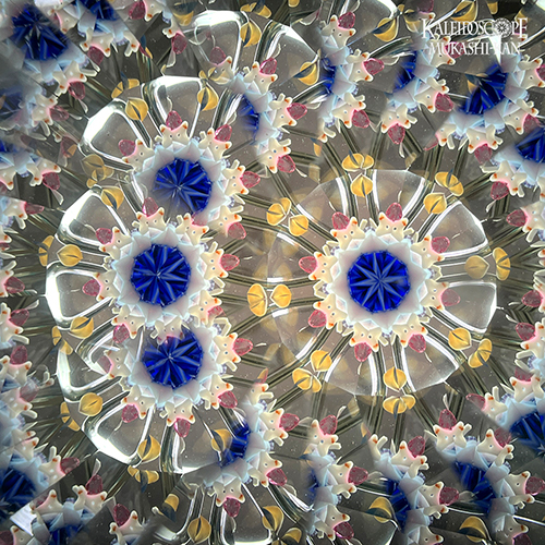 海の花