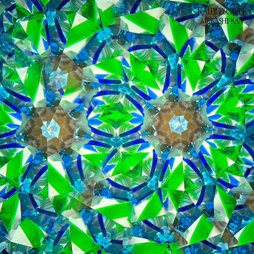 海の花