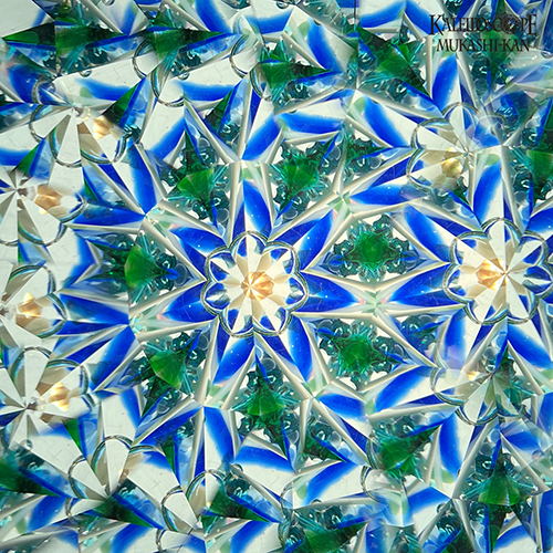 海の花