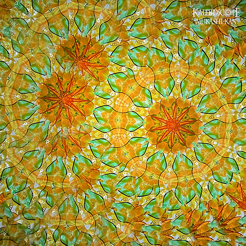 万華鏡：オイルチェンバー】百億年 ：佐々木茉友 [送料無料]