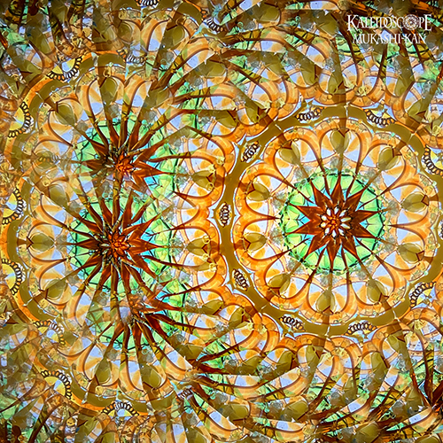 万華鏡：オイルチェンバー】百億年 ：佐々木茉友 [送料無料]