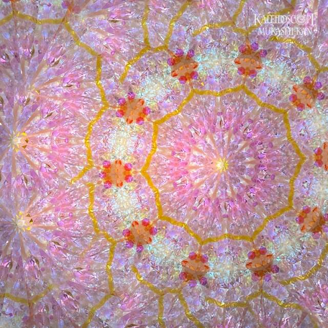 ピンクレモネード
