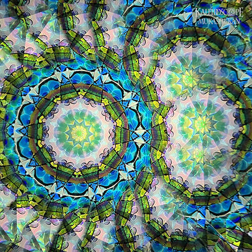 万華鏡：オイル&ドライ] 虹彩華 /kosaika：佐藤元洋[送料無料]