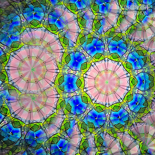 虹彩華