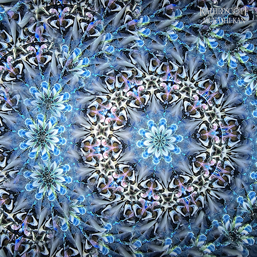 星顕