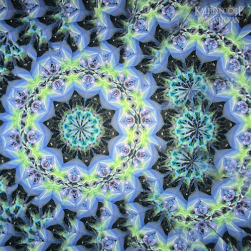 星顕