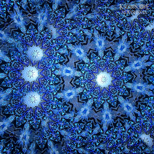 星顕