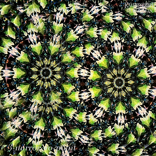 Elixir Pot_Collaboration