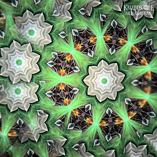 Oasis
