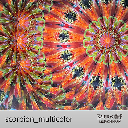 scorpion
