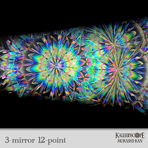 Event Horizon Polarization