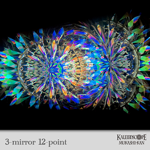 Event Horizon Polarization