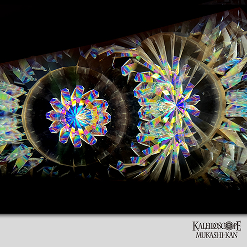 Event Horizon Polarization