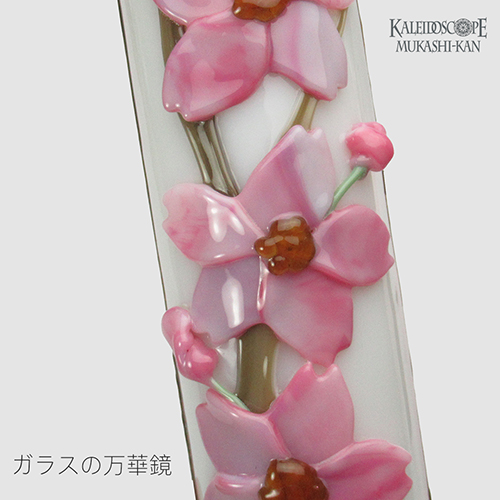 Cherry Blossom