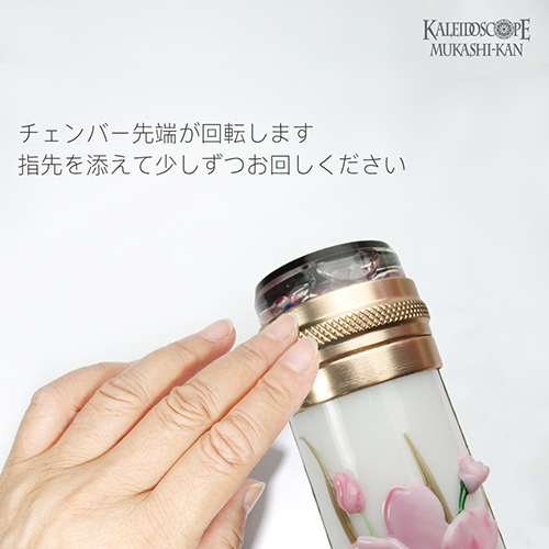 Cherry Blossom