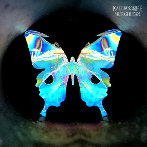 万華鏡：オイル]Morpho /abcde モルフォ：若林寛［送料無料］ 