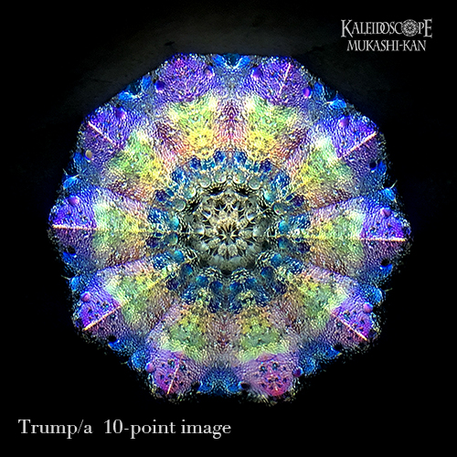 トランプ