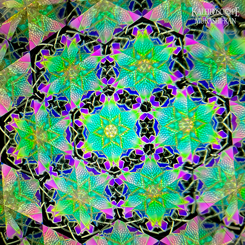 万華鏡：ドライ]オルゴール・パーラー・スコープ/「ヘドウィグのテーマ