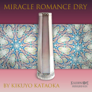 Miracle Romance