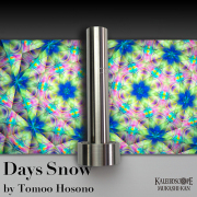 Days snow