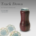 Track Down