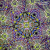 Dichroic Chameleon Kaleidoscope