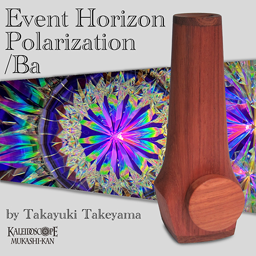 Event Horizon Polarization