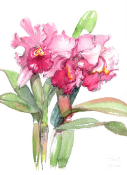 志村好子「カトレア（ピンク）」水彩画（絵寸317×409・額寸392×507mm）