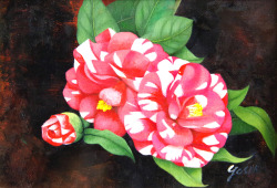 椿の絵・志村好子「大乱（椿）」油彩・ＳＭ・額寸338×406mm