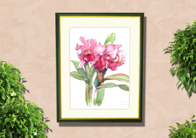 カトレア（ピンク）」志村好子・水彩画（絵寸317×409・額寸392×507mm）