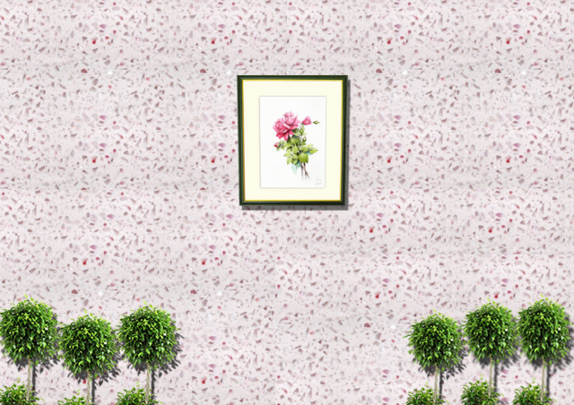 薔薇（赤）」水彩画（絵寸250×330・額寸377×454mm）志村好子