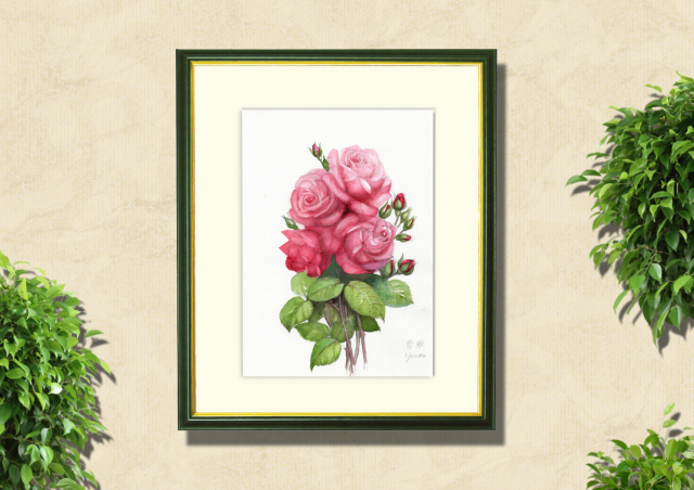 赤薔薇　水彩画　原画 薔薇（赤）」水彩画（絵寸250×330・額寸377×454mm）志村好子