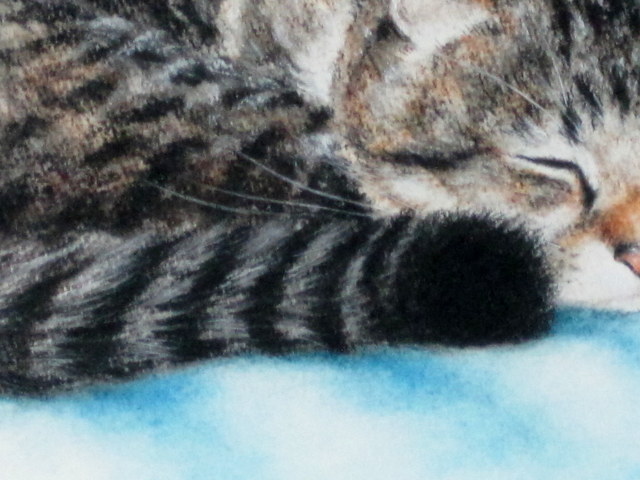 抽象的な猫のパステル画 抽象的なかわいい猫、油絵のブラシストローク、壁の芸術の版画