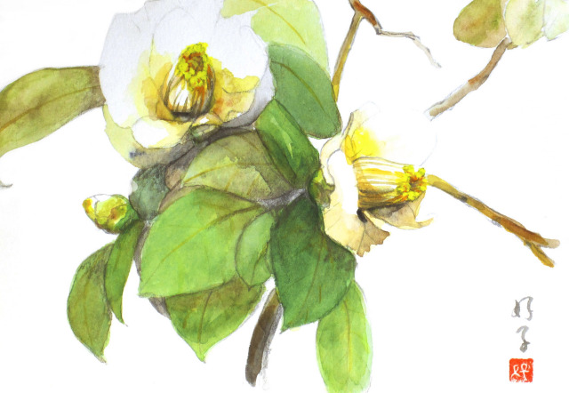 志村好子「椿」3・水彩（画寸128×185・額寸318×410mm）