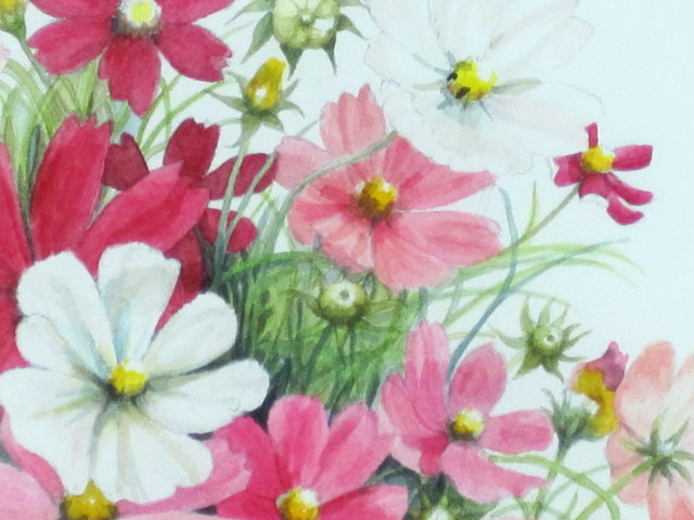 野に遊ぶ」（ピンクのコスモス）・志村好子・水彩画・4号