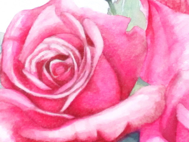 赤薔薇　水彩画　原画 赤い薔薇の大群 Ⅰ 】水彩画 原画 イラスト - メルカリ