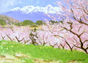 肉質油絵　横　10号　セーヌ川　梅沢民雄　額装仕上げ品 肉質油絵 横 10号 セーヌ川 梅沢民雄 額装仕上げ品