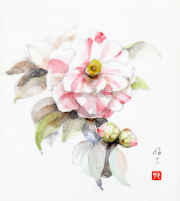 絵画　白椿 Yahoo!オークション - 【真作】 金島桂華 「白椿」絹本 日本画