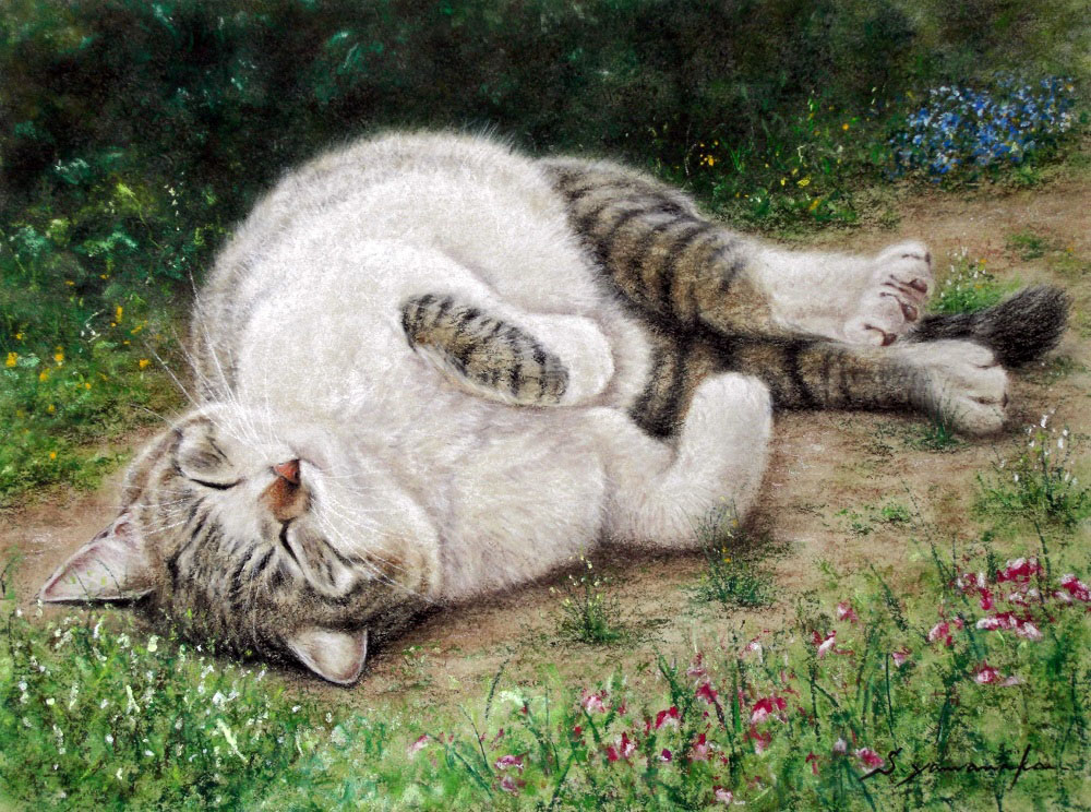 山中翔之郎「ぽかぽか　ごろん」パステル＋水彩・320×240mm