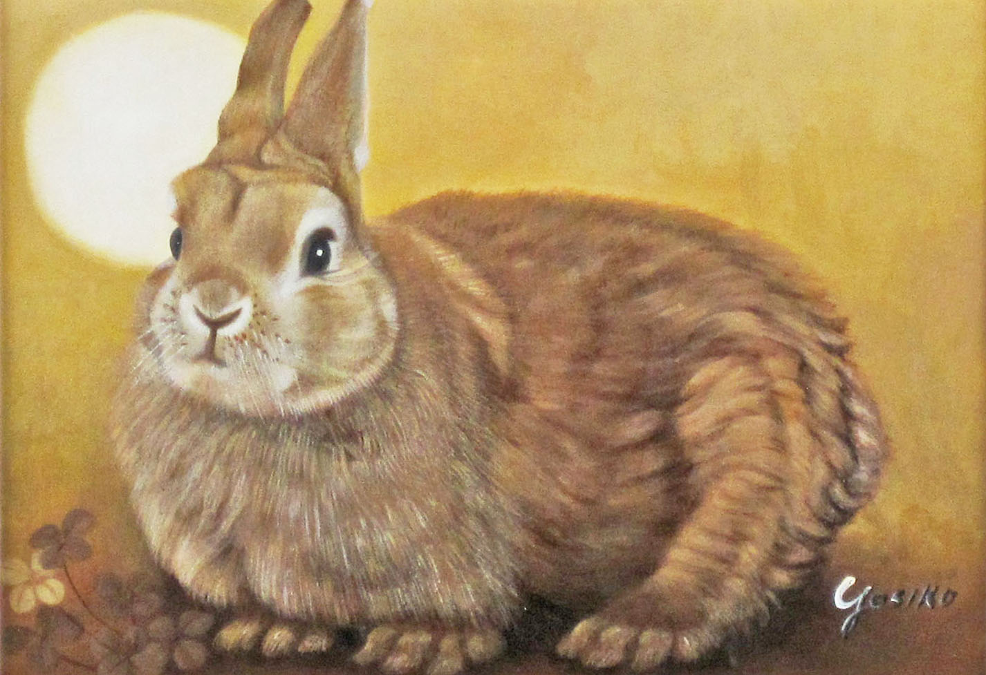 usagi