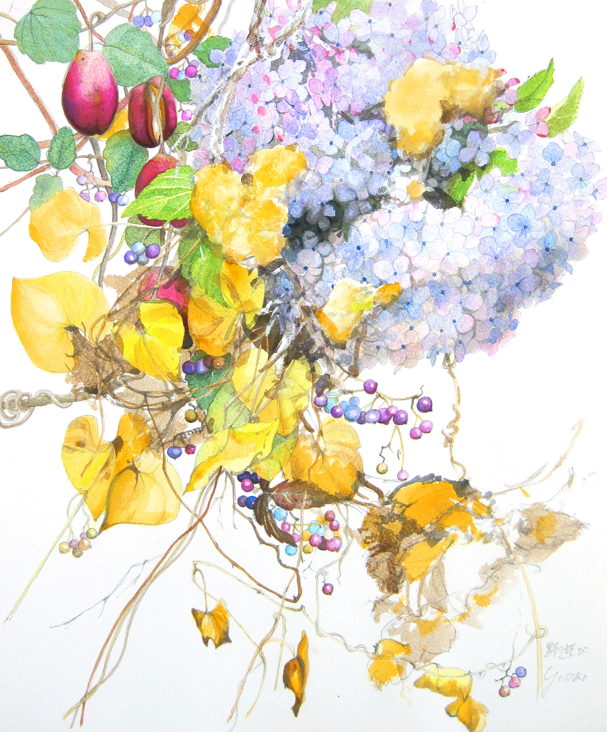 志村好子「野遊び（アケビ・木の実・アジサイ）」(水彩画）画寸378×454mm）